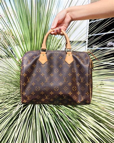 louis vuitton speedy price history|louis vuitton cherry speedy 30.